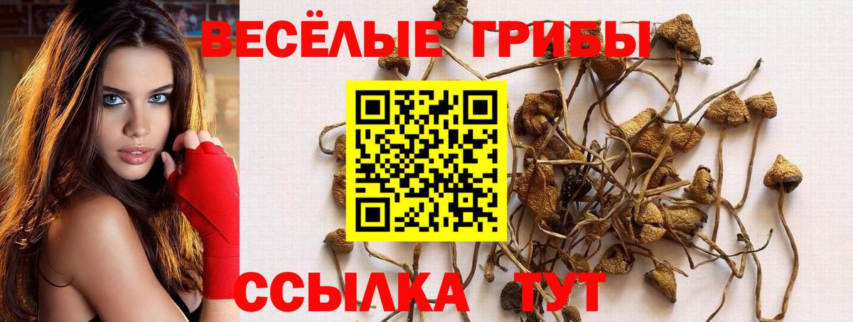 Псилоцибиновые грибы GOLDEN TEACHER Лабинск