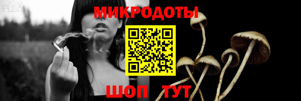 Галлюциногенные грибы Psilocybine cubensis  Галлюциногенные грибы Cubensis  Лабинск  Вход с VPN 